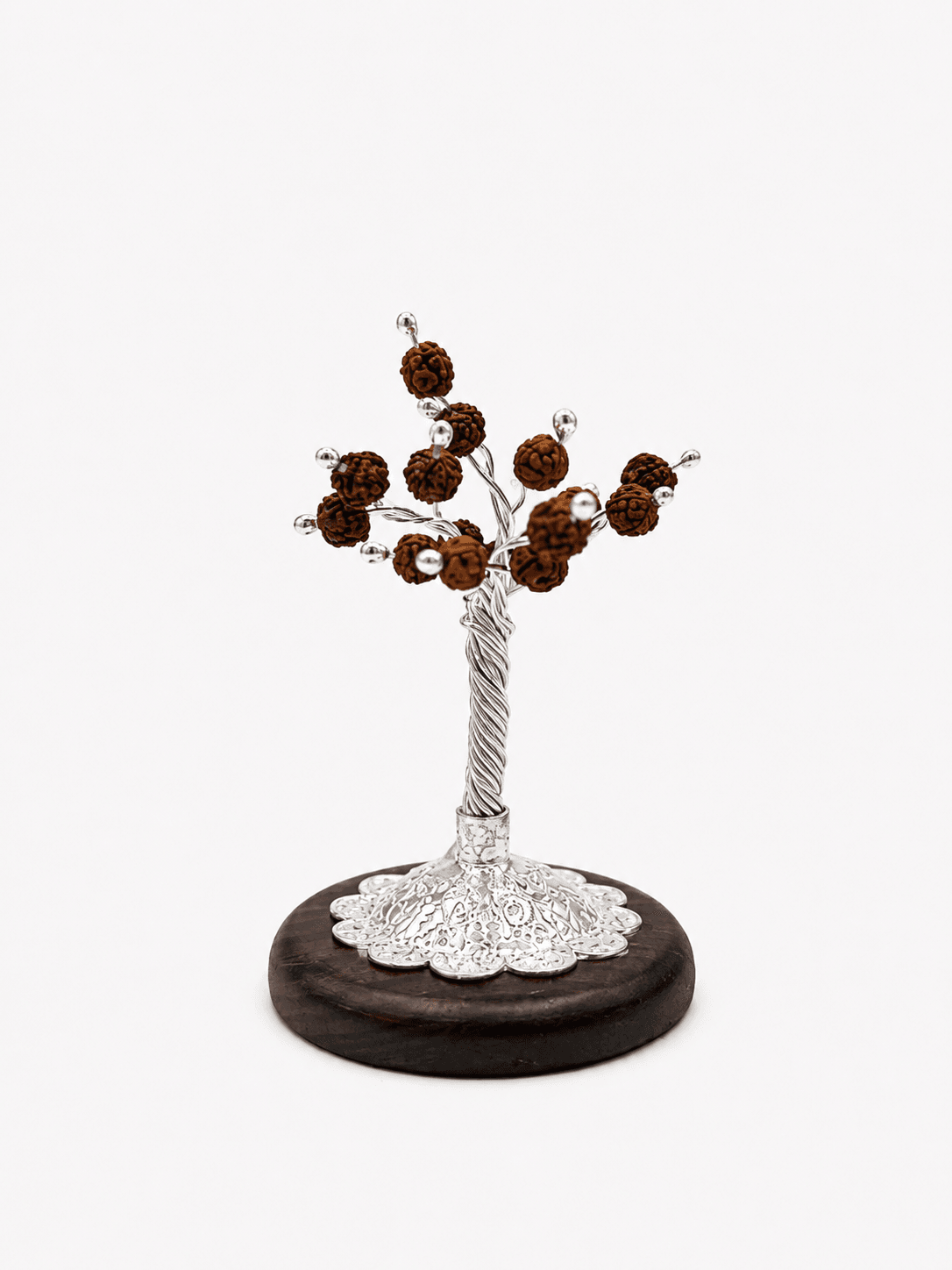 RUDRAKSH TREE